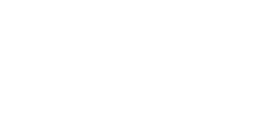 Bridging North America Logo